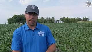 Cover Crop Soil Moisture Retention