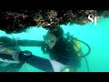 What's a 'Smart Bay?': A way to fight climate change