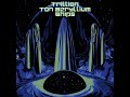 Trillion Ton Beryllium Ships - Mystical Consumer (Single 2022)+lyrics