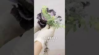 お正月の寄せ植えギャザリング　#ガーデニング　#グリーンオフィスベルデ  #寄せ植え