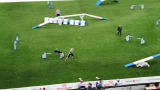 AZTA Jenny Damm Large Agility AWC 2019