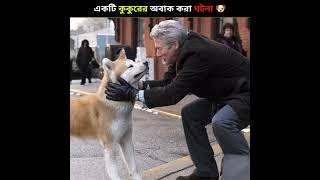 একটি কুকুরের অদ্ভুৎ ঘটনা 🐶 | Hachiko A Dog Story | A True Dog Story | Banglar Facts #shorts #story