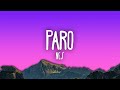 Nej - Paro | allo allo tik tok song