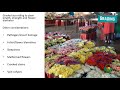 grow commercial carnations for profit