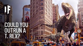 What If You Were Attacked by a T. rex?