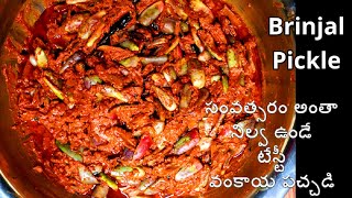 సంవత్సరం అంతా నిల్వ ఉండే టేస్టీ వంకాయ పచ్చడి | Vankaya Nilva Pachadi | Brinjal Pickle