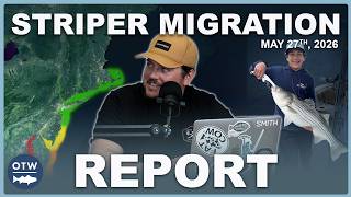 Striper Migration Report | June 2nd 2026