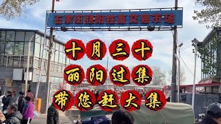 丽阳市场过大集，骑乘马很多，来了两匹闹腾的公马，牛马驴走不停【丽阳牲畜市场】