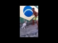 MA MA PA PA PA PERFECT ILLUSION