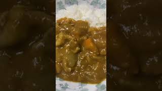 世界よ！これが日本の美味しい食べ物飲み物 カレーライス　1471