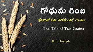 గోధుమ గింజ భూమిలో పడి  చావకుండిన యెడల  || THE TALE OF TWO GRAINS OF WHEAT || Bro. Joseph