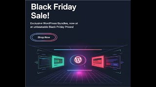 Black Friday 92 % off 2025