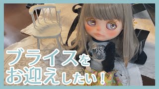 #05 Blytheトーク｜スリサステナブルをお迎えしたい・ウェンズデーカスタムが気になる【ドール系Vlog】