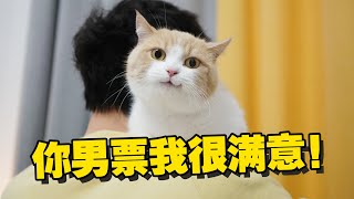 单身女主人养猫6年终于脱单！却发现男友不是为我来的？【喵来啦】