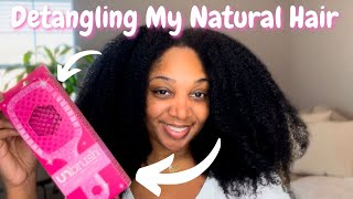 DETANGLING MY NATURAL HAIR |  VIRAL UNBRUSH HONEST REVIEW| USING PURA DOR CONDITIONER!!