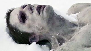 The Last Winter: Ron Perlman's Most Underrated Film?