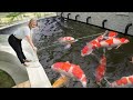 BUILDING A MASSIVE KOI POND - FINAL RESULT!!