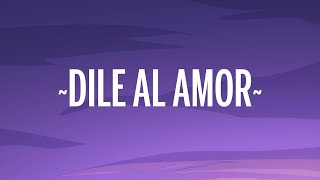 [ 1 Hora 🕐 ] Aventura - Dile Al Amor (Letra/Lyrics)