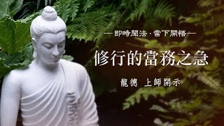 龍德上師：修行的當務之急