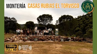 MONTERÍA CASAS RUBIAS \