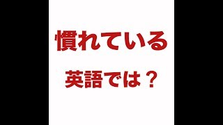 【慣れている　英語では？ 】「動画で観る！聴く！英語辞書動画」