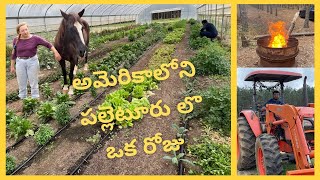 American village Tour in Telugu | Telugu Vlogs from USA | Village Show | American Countryside Farms