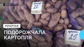 Учетверо дорожча, ніж рік тому. Чому в Кропивницькому зросли ціни на картоплю