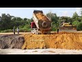 fantastic techniques at complex by komatsu dozer pushing to water and 25 ton dump truck dumping dirt