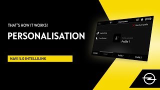 Navi 5.0 IntelliLink | Personalisation | That's How It Works!