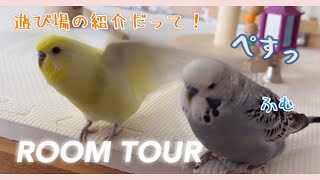 100均をふんだんに使用したインコのアスレチックをご紹介【遊び場ルームツアー】