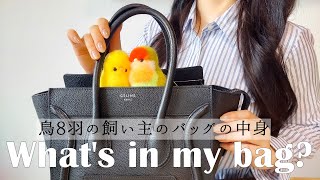 what's in my bag　鳥8羽 多頭飼い主 バッグの中身 と 鳥グッズ