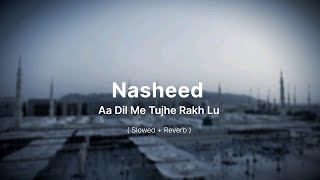 Nasheed ~ Aa Dil Mel Tujhe Rakh Lu Naat By Nasheer Ahmad | Sunahre Andaaz | @HiTechIslamic