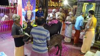 26th anniversary of Sri Iyyappa Poojai Latcharchanai -day1(part 1)