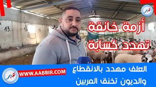 أزمة خانقة تهدد الكسابة العلف مهدد بالانقطاع و الديونن تخنق المربين