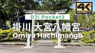 【4K】Omiya Hachimangu(Shrine)  掛川 大宮八幡宮 -  Walking Video From Japan / VLOG / DJI Pocket 2