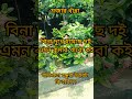 বিনা দুধে হয়েছে দই এমন কুমার পাবো কই dialogue funny funnyanimal dialoguewithnature love