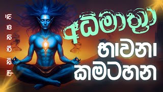 සමාධියට අධිමාත්‍රා ආනාපානාසති භාවනාව #නිවන්_මග_සිහියෙන්