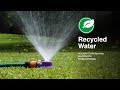 Holman Dome Sprinkler for Recycled Water