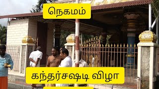 நெகமம் ஶ்ரீ தங்கவேல் அய்யன் வேலாயுத சுவாமி கோவில் பந்தல்கால் நடும் விழா