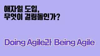 Doing Agile과 Being Agile로 알아보는 애자일 도입 전략