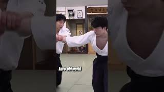 Aikido in REAL LIFE Fights - What REALLY Works