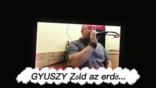 GYUSZY    Zöld az erdő / Cigányhimnusz   LAGZIS VIDEÓ