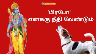 WHY DOG BIRTH ? | ஏன் நாய் பிறப்பு |  ஆன்மீக கதை | ஆன்மீக சாரல்