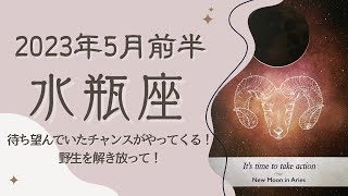 【水瓶座】2023年5月前半〜待ち望んでいたチャンスがやってくる！野生を解き放って！〜無意識を書き換えるタロット〜