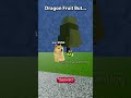 doge found the dragon fruit but.... bloxfruits memebloxfruits dogmemes