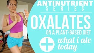 OXALATES || What You Need to Know || Antinutrient Series + What I Ate Today