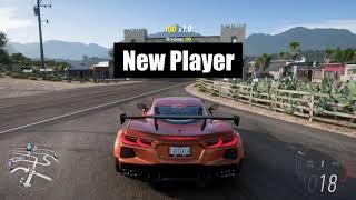 Different Types of Players in Forza Horizon 5