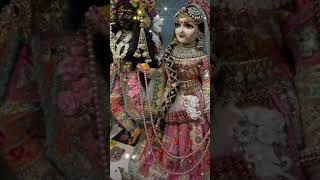 Vrindavan ke banke Bihari #love #vindavandham #bhakebihari #radhekrishna #bajan #radheshyam #shorts