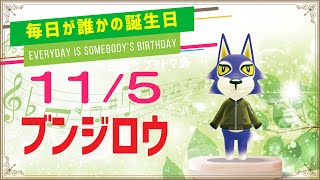 【あつ森誕生日】11月5日ブンジロウ🎉毎日キャラ紹介