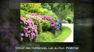 Le Circuit des Hortensias